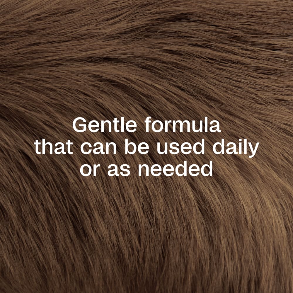 sapm100550839-infographic03