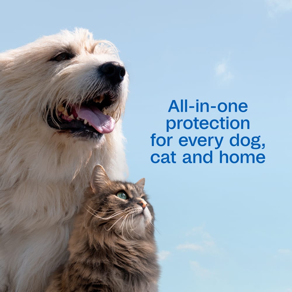 sapm100550839-infographic04