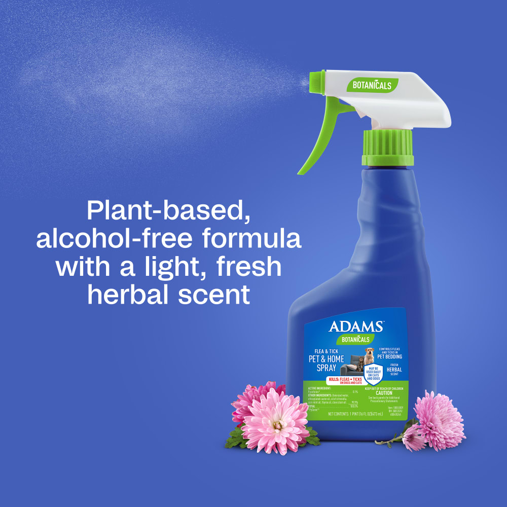 sapm100550839-infographic05