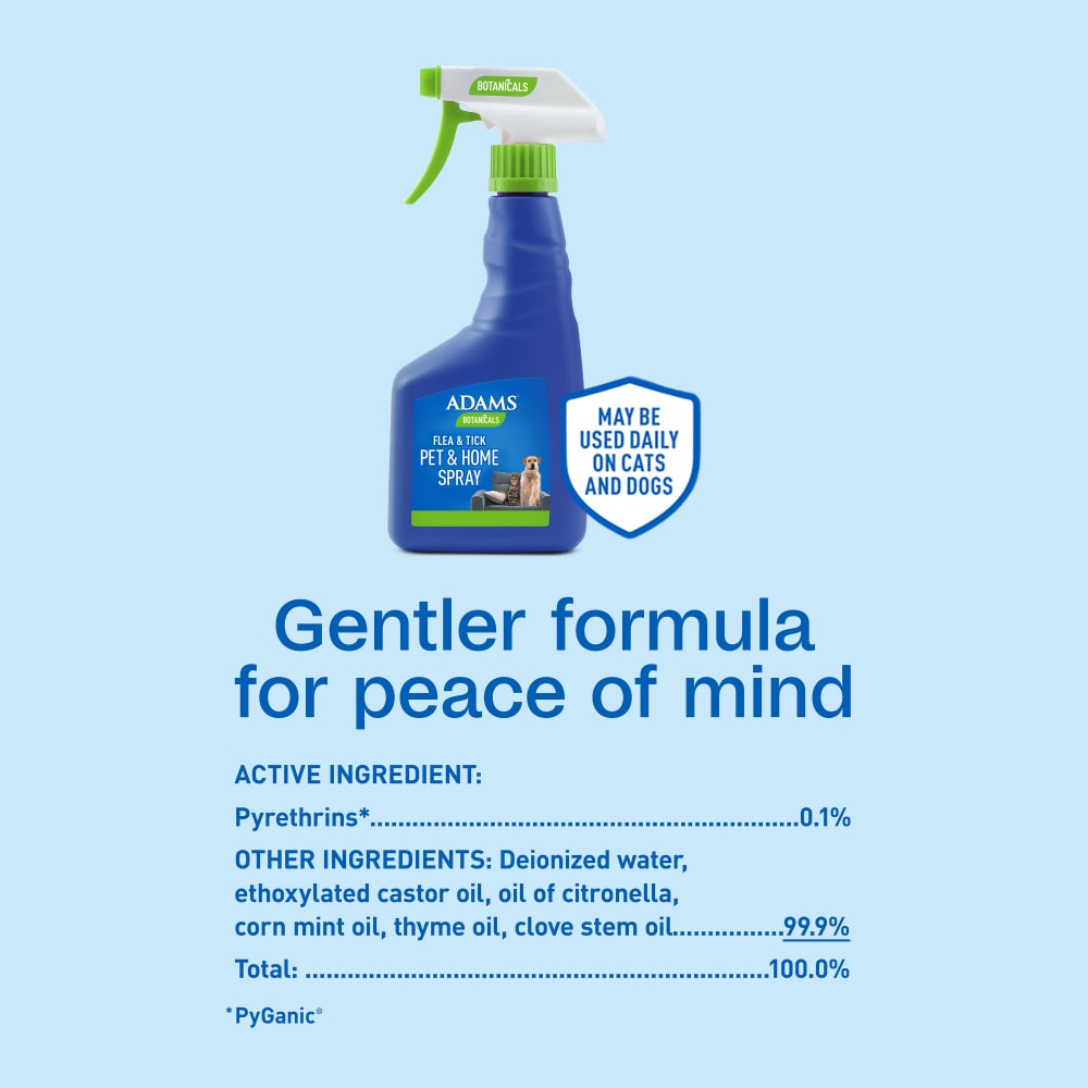 sapm100550839-infographic06