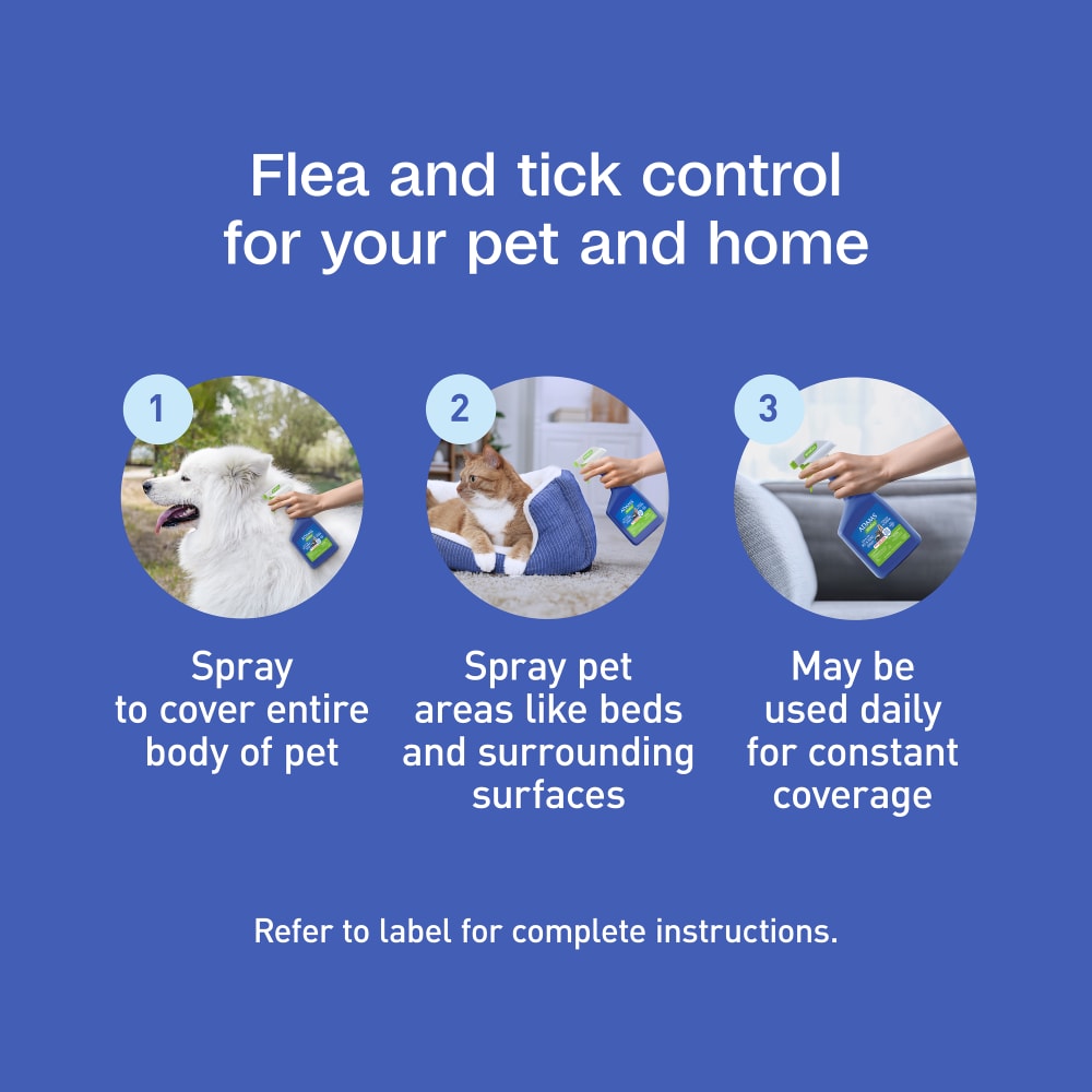 sapm100550839-infographic07