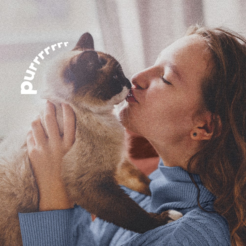 Woman hugging light grey cat