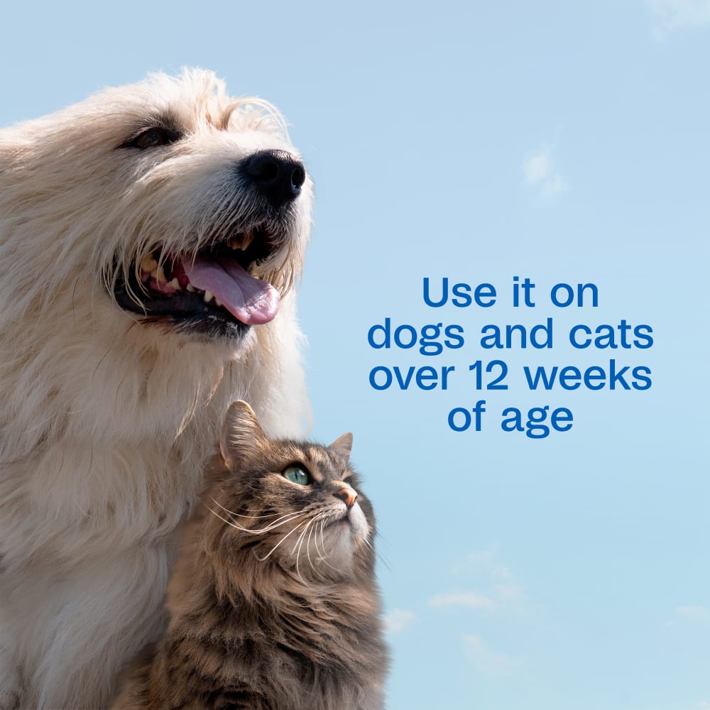 Use it on dogs and cats over 12 weeks of age