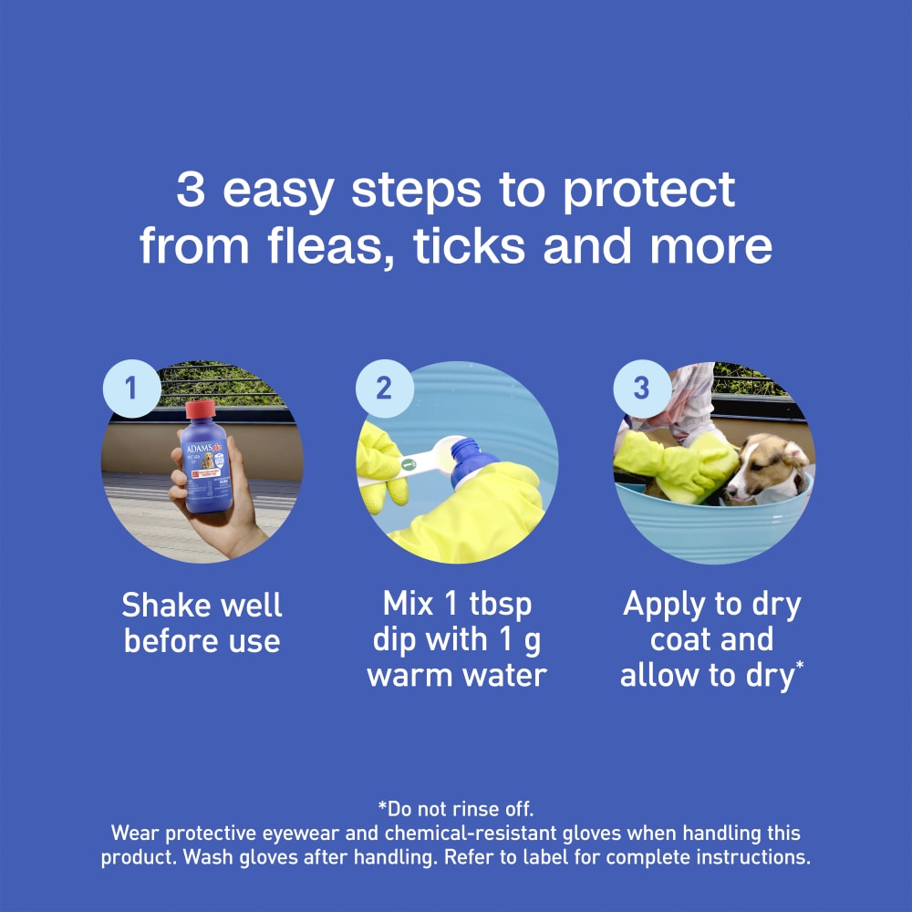 Three easy steps to protect from fleas, tick and more